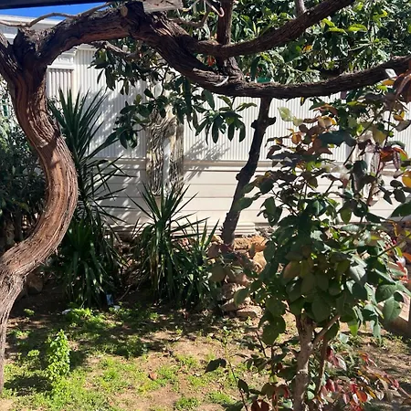 Maison d'hôtes Antalyanin Kalbinde Terasli Odalar